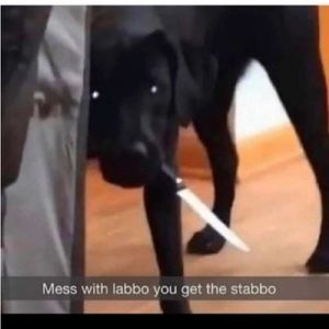 Meet your Posher, Garrett